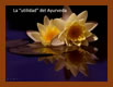 Medicina Ayurveda