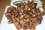 Soap nuts, nueces de jab�n o nueces de lavado.