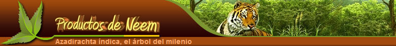 Arbol de Neem - crema y polvo anti acne; aceite de semillas, anti caspa y contra la sinusitis, hojas para la conjuntivitis, etc. 